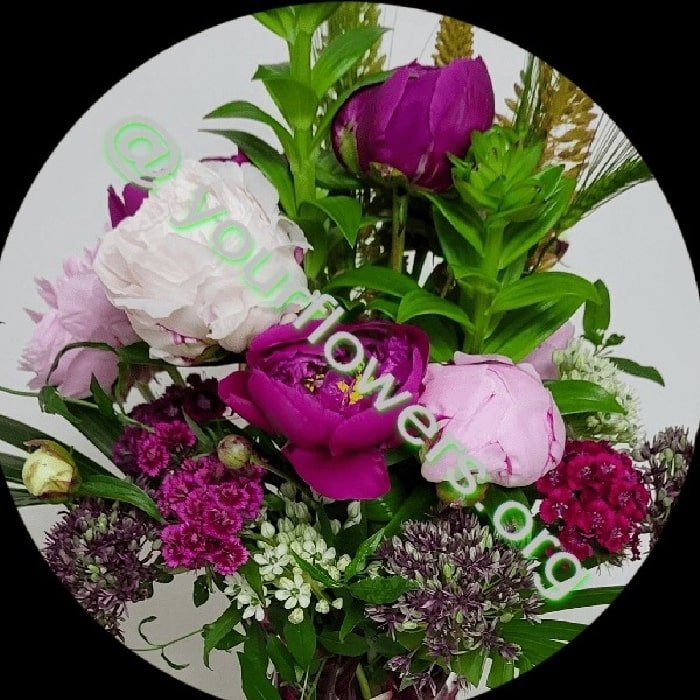 Blumenversand - Ihr Blumenladen vor Ort. Blumenstrauß aus frischen Blumen auf Bestellung geliefert – Jetzt kaufen