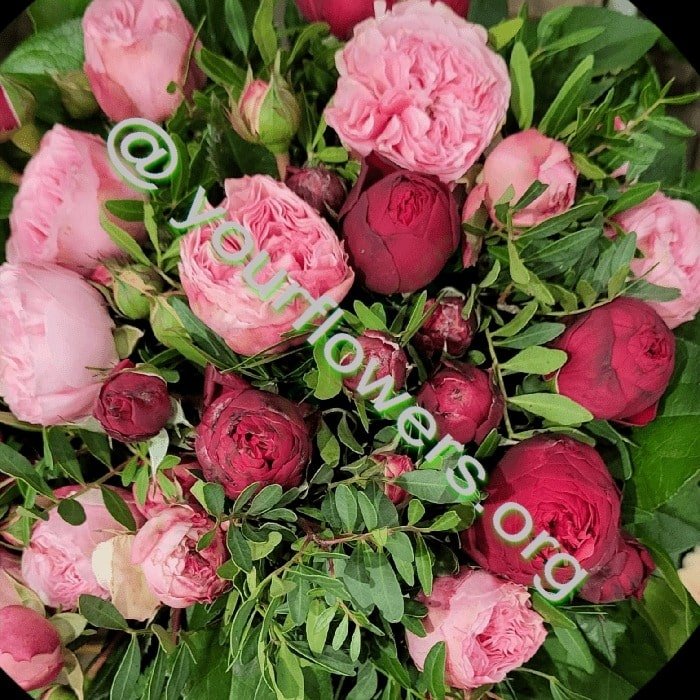 Blumen verschicken - Ihr Blumenladen vor Ort. Blumenstrauß aus frischen Blumen auf Bestellung geliefert – Jetzt kaufen