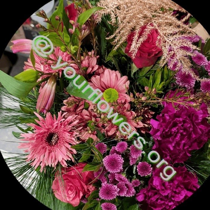 Orchideen kaufen - Ihr Blumenladen vor Ort. Blumenstrauß aus frischen Blumen auf Bestellung geliefert – Jetzt kaufen