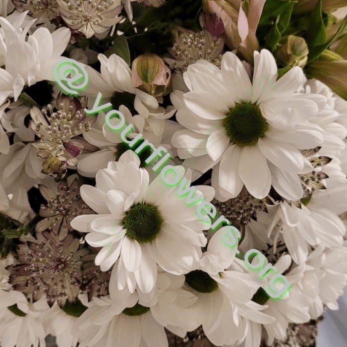 Blumenladen Sachsenhausen - Ihr Blumenladen vor Ort. Blumenstrauß aus frischen Blumen auf Bestellung geliefert – Jetzt kaufen